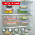 LFGB tested Heat resistant glass freezer containers
